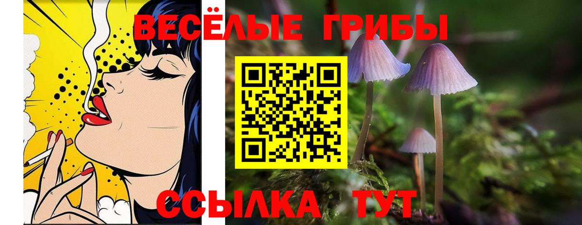 Псилоцибиновые грибы мицелий  Вход с VPN  Жигулёвск 